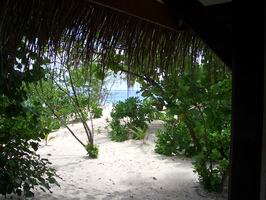 Blick aus dem Bungalow aufs Meer